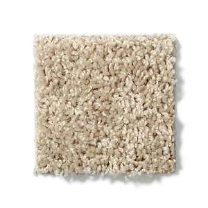 This is an image of a solid color carpet  to give the viewer and insight of what to expect from the links below.