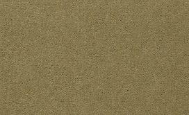 This is an image of commercial plush  carpet  to give the viewer and insight of what to expect from the links below.