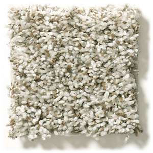 Image of a residential  multi colored or Tonal carpet style